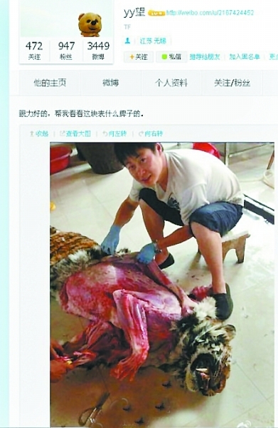 网友晒剥老虎皮照炫耀遭强烈谴责 始发微博“yy望”曝光